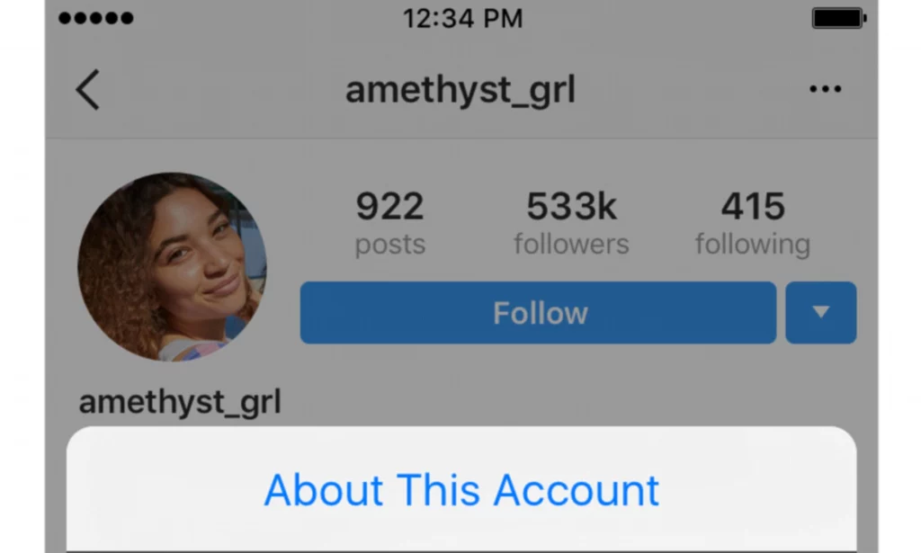 fake instagram accounts