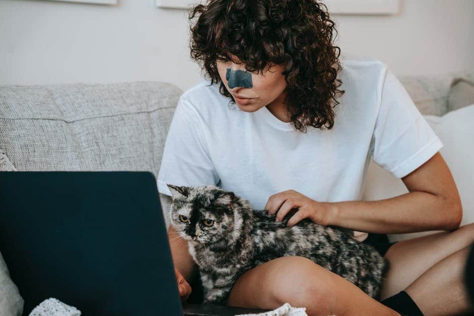 Crop concentrated self employed young lady with curly hair and charcoal patch on nose using laptop and caressing curious cat while working remotely sitting on sofa at home